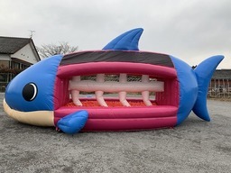 おさかなﾊﾞｳﾝｽ(BP)2