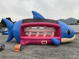 おさかなﾊﾞｳﾝｽ(BP)3