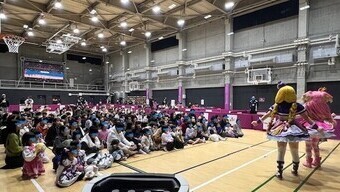 ﾜﾝﾀﾞﾌﾙﾌﾟﾘｷｭｱ単体(2体)