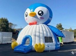 ﾍﾟﾝｷﾞﾝﾄﾞｰﾑ