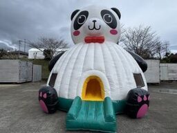 ﾊﾟﾝﾀﾞﾄﾞｰﾑ