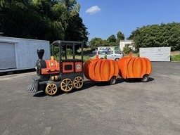 ﾊｯﾋﾟｰﾊﾛｳｨﾝﾄﾚｲﾝ3_コピー