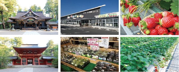 千葉 銚子いちご狩り日帰りバスツアー 太陽の里の団体旅行