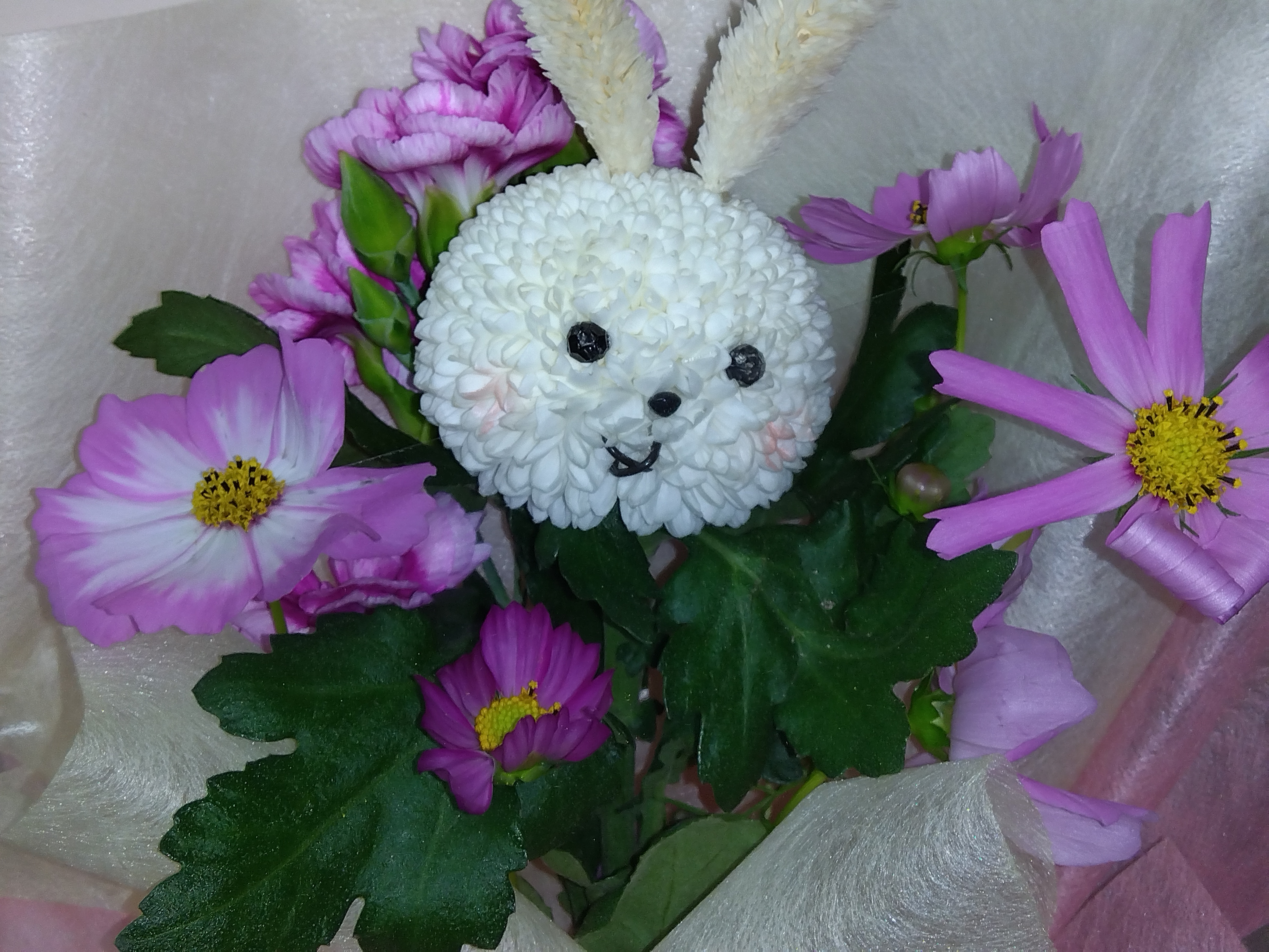 IMG_2025-10-25-16-10-18-044