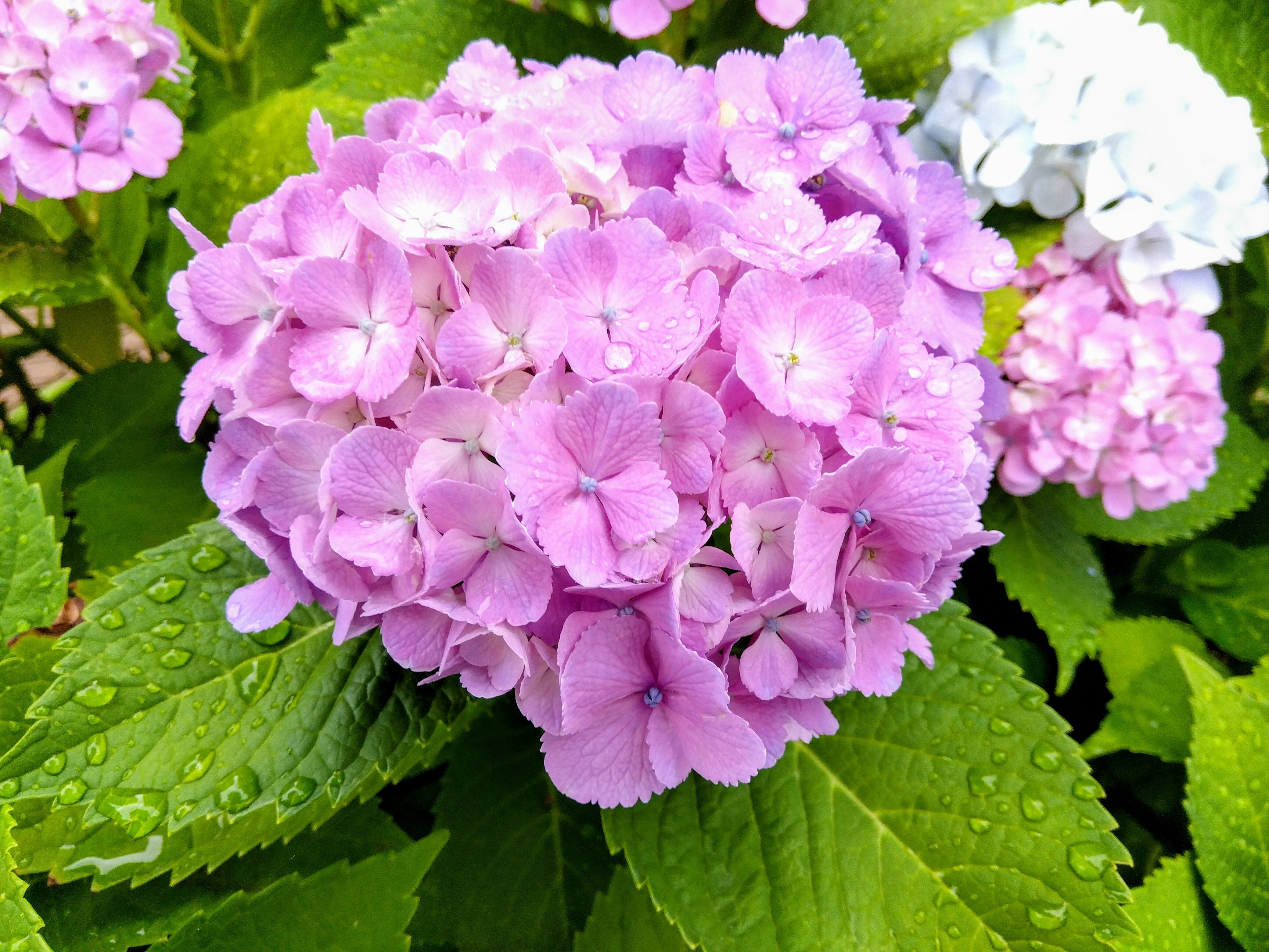 87b344cd-625e-4333-9d18-e9fb4c047cb2~1 (1)