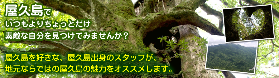 会社概要 屋久島の旅行会社 屋久島ツアーleaf