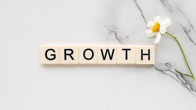 mangomatter-growth-4777468_640