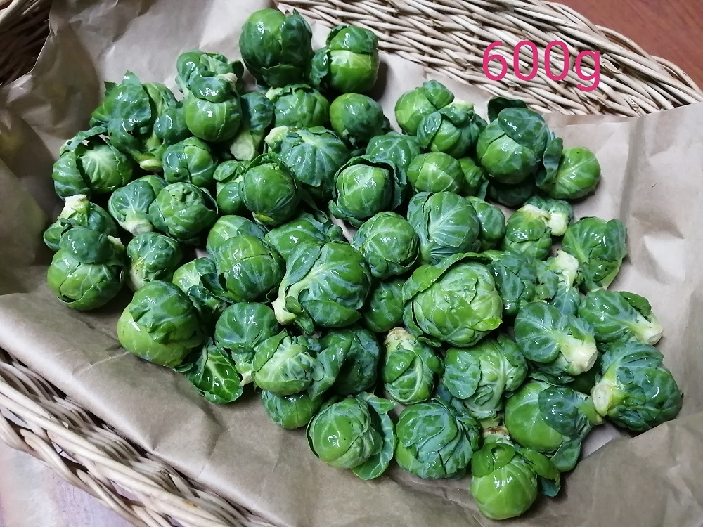 ちっちゃな体で栄養いっぱいの 芽キャベツ 600g入り 冬限定野菜 ちっちゃな体で栄養いっぱいの 芽キャベツ 600g入り 冬限定野菜