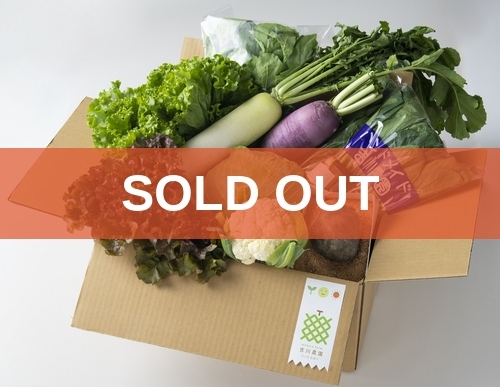 soldout_11_丸いも季節の野菜Lセット-M