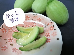 からし漬M