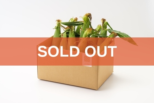 soldout_17.とうもろこし10本箱