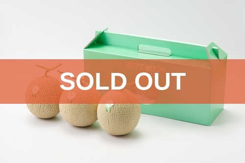 soldout_6.3玉入り