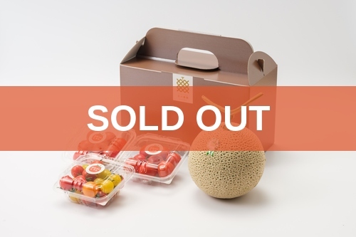soldout_11.夏なつコンビS