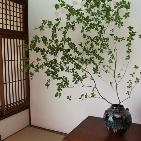 生け①_コピー_コピー