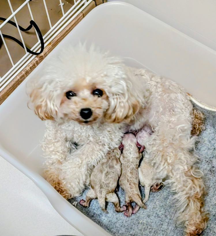 PXL_20260115_152425110.MP~2