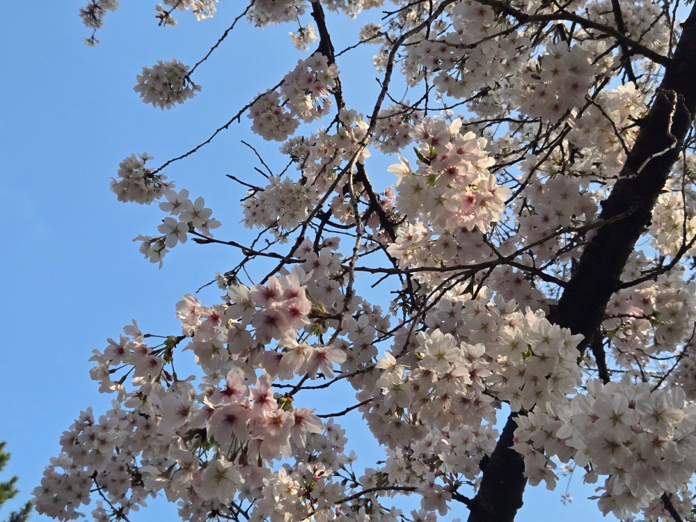 re20260329_145250 - 南誠二