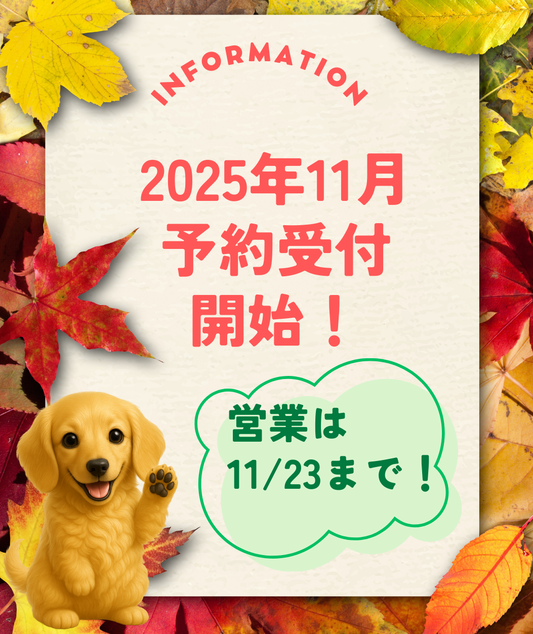 11月予約受付開始