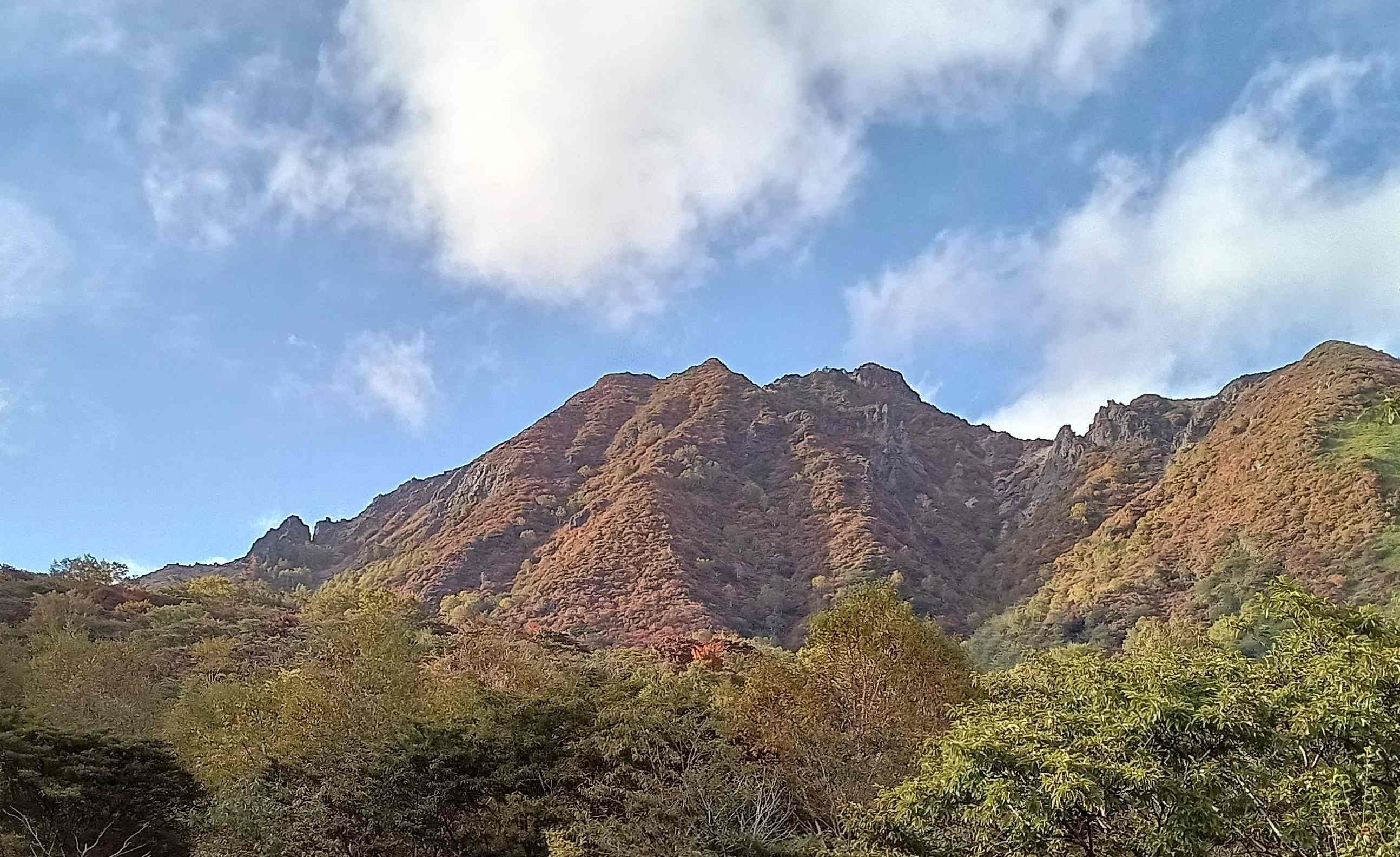 nasu