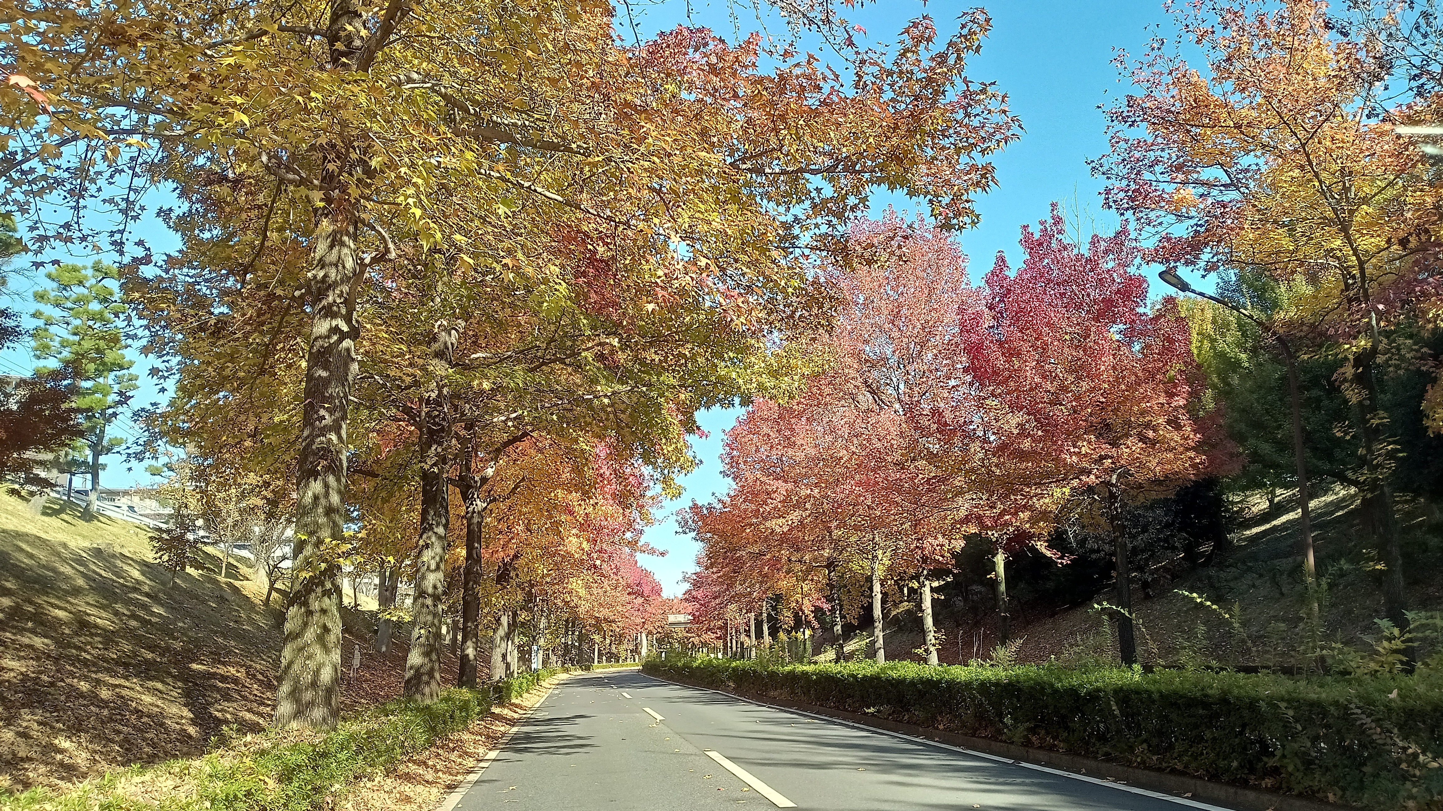 KIMG20251114_094857996