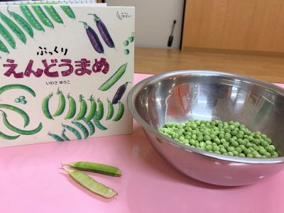 豆のさやむき