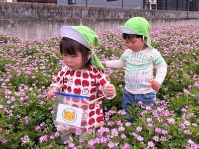 れんげ畑探索