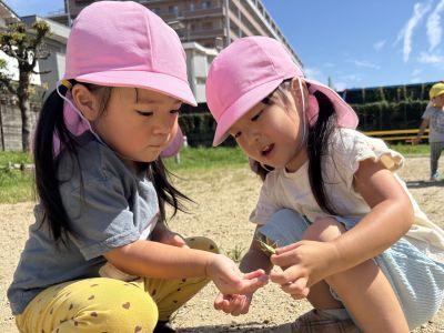 9月のアイコン 
