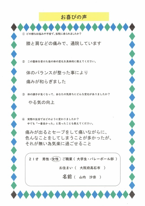 山内沙奈 声_コピー