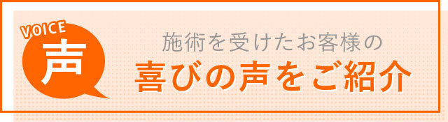 voice_orange5 (1)