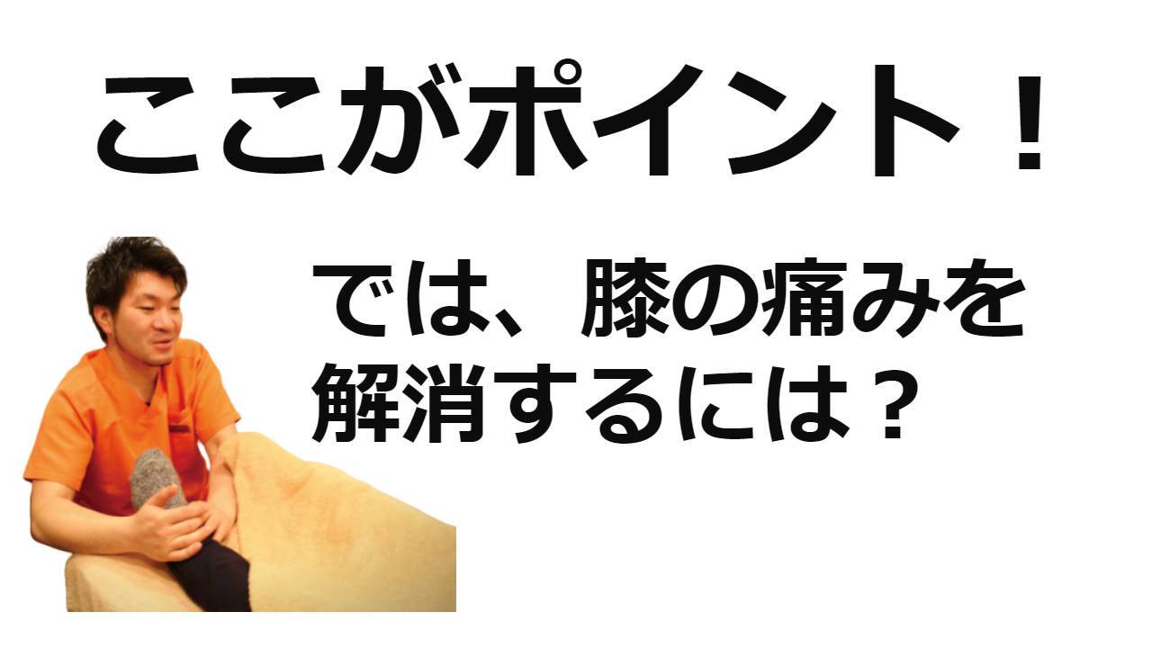 ここがポイント!