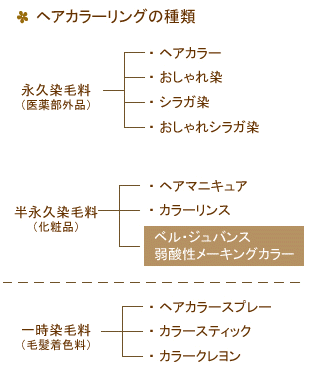 メニュー詳細 ベル ジュバンスの店 Cocoro美容室 大阪府大東市 メニュー詳細 ベル ジュバンスの店 Cocoro美容室 大阪府大東市