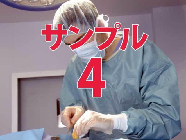 サンプル画像04