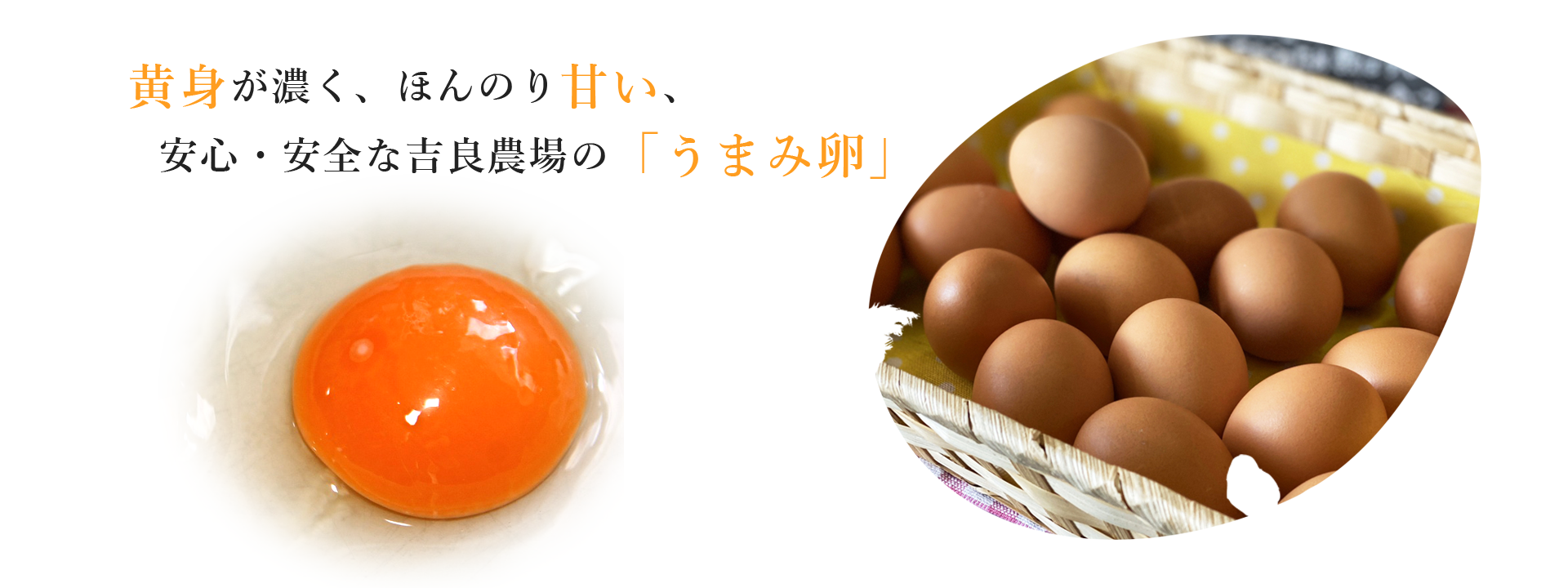 産地直送こだわりたまご製造販売 吉良農場 愛知県西尾市吉良町 産地直送こだわりたまご製造販売 吉良農場 愛知県西尾市吉良町