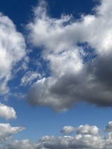 IMG_0723のコピー_コピー