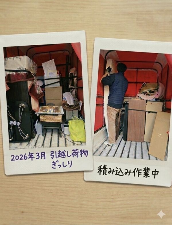 Screenshot_20260319_174900_Gallery