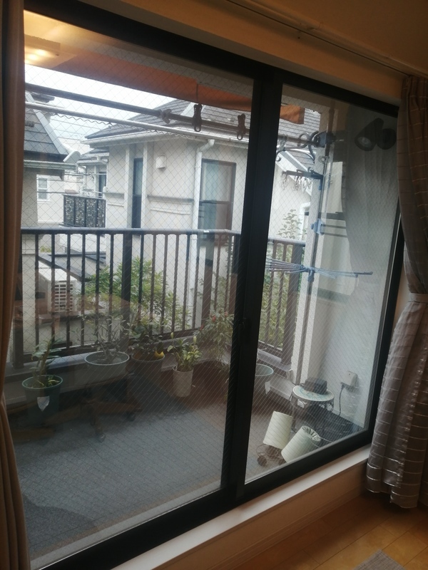 IMG_20251123_105335_コピー