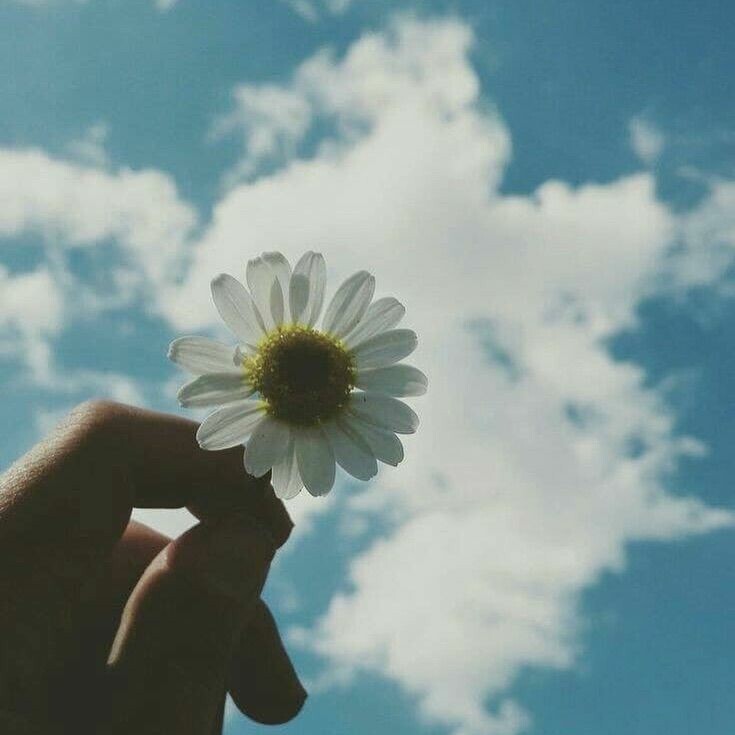 a0FgQmZbew