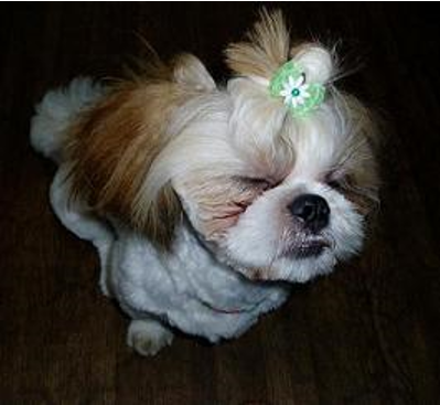 手荒れ手湿疹保湿クリーム・ステロイド手荒れクリームならミーコの店|スキンケア専門店