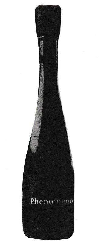 緑川フェノメノ_20260715_0003_page-0001