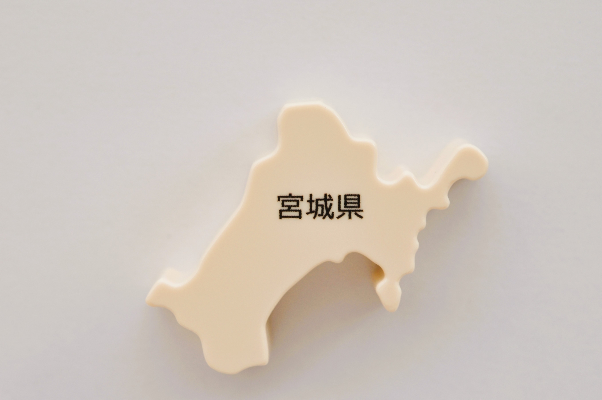 24482941_m (1)