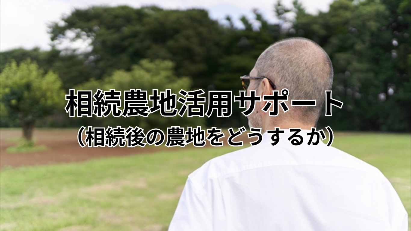 農地相続のご相談 （相続のご相談） (1)