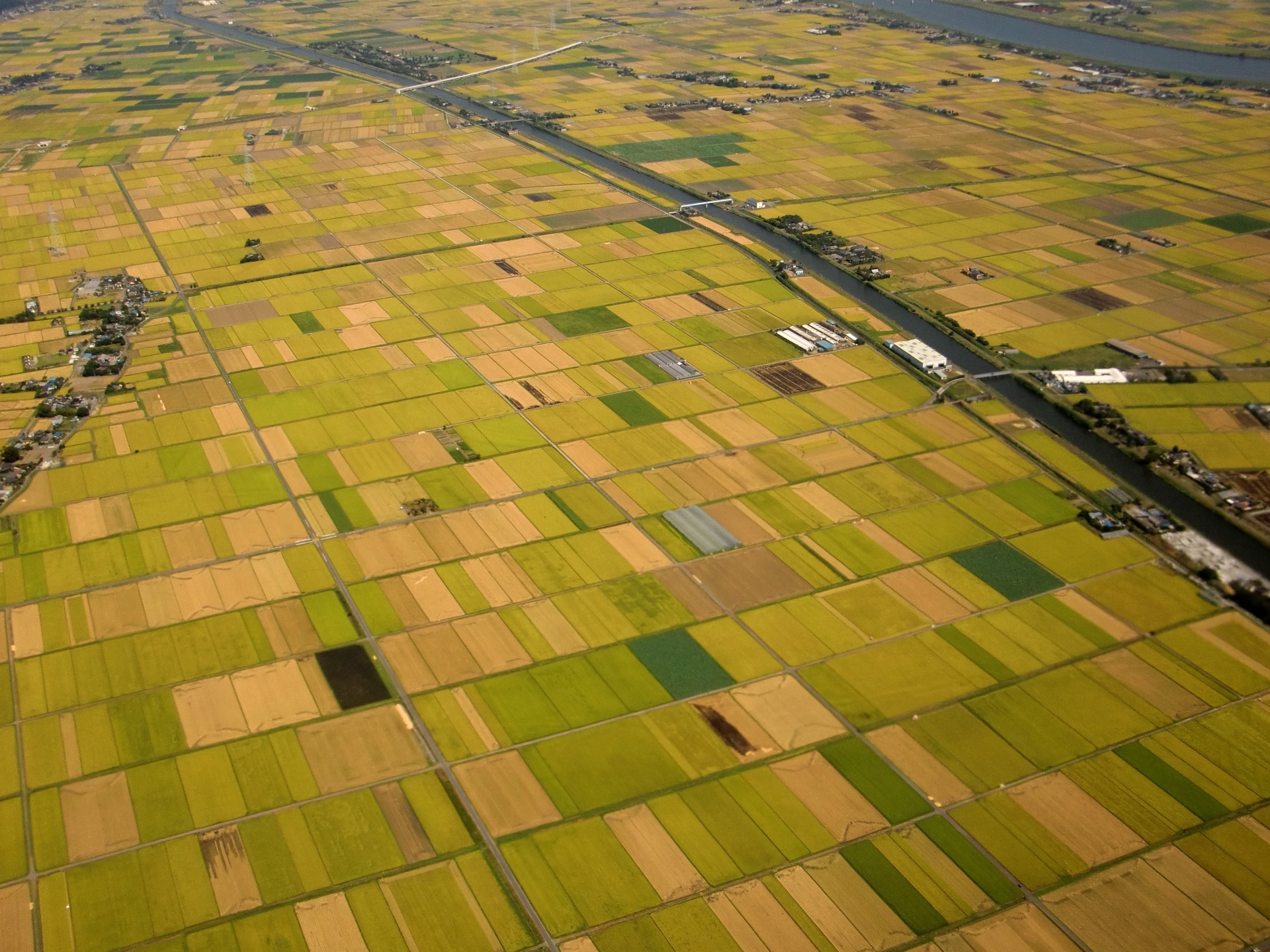 3454640_m