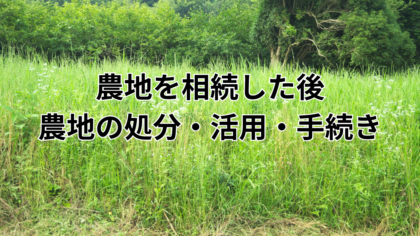 相続後の農地の処分・活用・手続き (7)