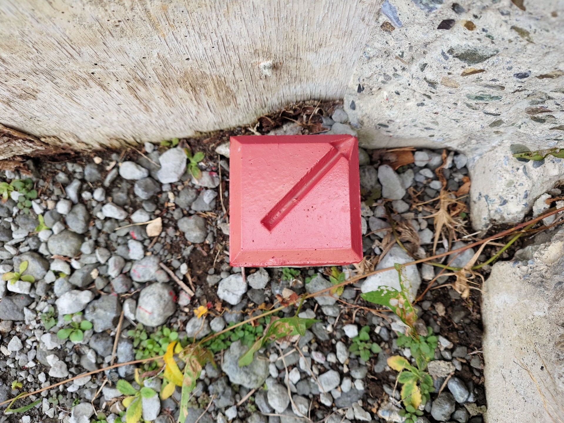 33702345_m