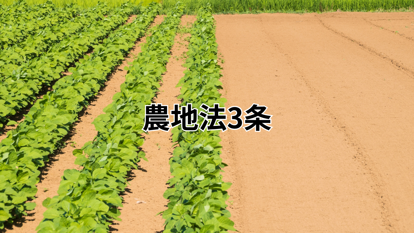農地法3条許可申請 (2)