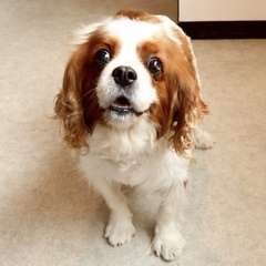 ウィッシュちゃん1