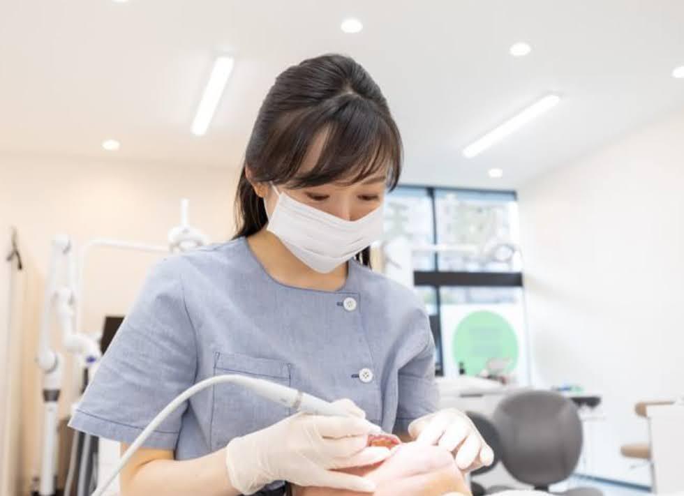 なごみ歯科 矯正歯科 大阪市東住吉区の歯科医院 駒川駅 田辺駅近く なごみ歯科 矯正歯科 大阪市東住吉区の歯科医院 駒川駅 田辺駅近く