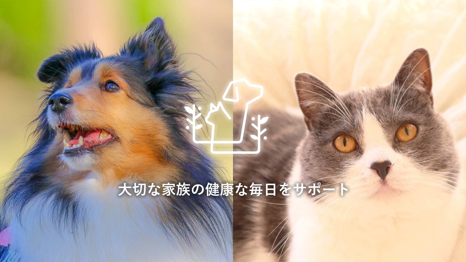 調布市 つつじヶ丘駅3分 くら動物病院つつじヶ丘 トリミング ペットホテル