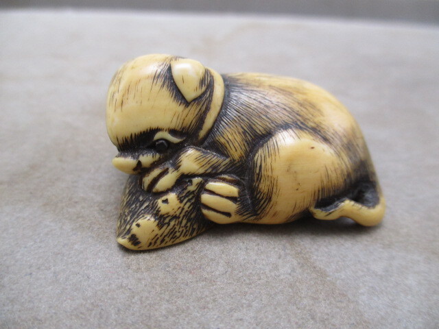 レトロ アンティーク 骨董品 根付 毬で遊ぶ犬 鹿角