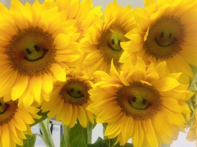 ホームページがオープンしました｜安くて新鮮なお花屋さん