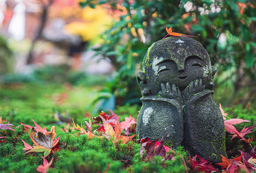 修学旅行お役立ち情報 一般観光 修学旅行ガイドの京都sky観光ガイド協会 修学旅行お役立ち情報 一般観光 修学旅行ガイドの京都sky観光ガイド協会